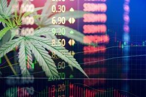 cannabis market trends