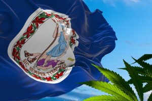 va house bill 2294 cbd legislation