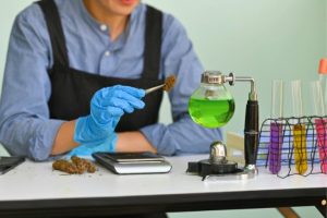 Chemical Parameters for Robust Solid Dosage Formulations of Cannabinoids