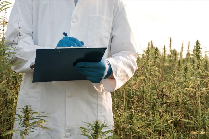 Contract manufacturer for hemp-derived CBD products