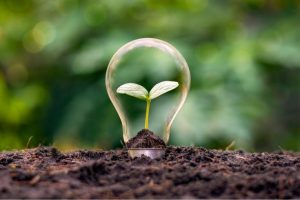 sustainable cbd manufacturing